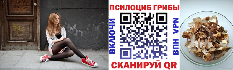 наркошоп  Сертолово  Псилоцибиновые грибы MAGIC MUSHROOMS 
